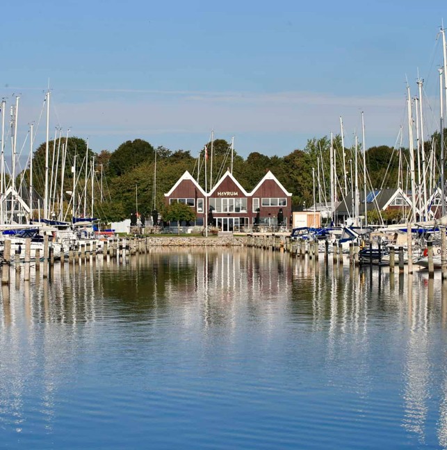 havrum7.jpg